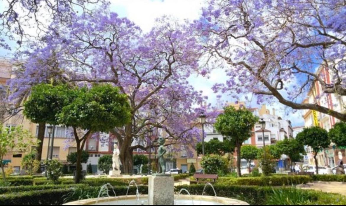 Appartamento Historical Center Ollerias Málaga Esterno foto